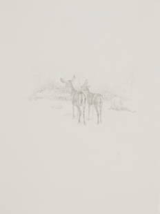 Kelly McLane (b. 1968, American): Untitled (Deer with Woman), 2001 Graphite on paper under Plexiglas Appears unsigned Sheet: 15" H x 11.5" W Provenance: Angles Gallery, Santa Monica, CA The Blake Byrne Collection