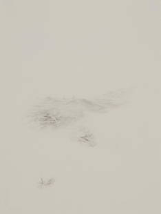 Kelly McLane (b. 1968, American): Summer Vacation (Goat Soup), 2003 Graphite on Arches paper under Plexiglas Appears unsigned Sheet: 15" H x 11.25" W Provenance: Angles Gallery, Santa Monica The Blake Byrne Collection, acquired