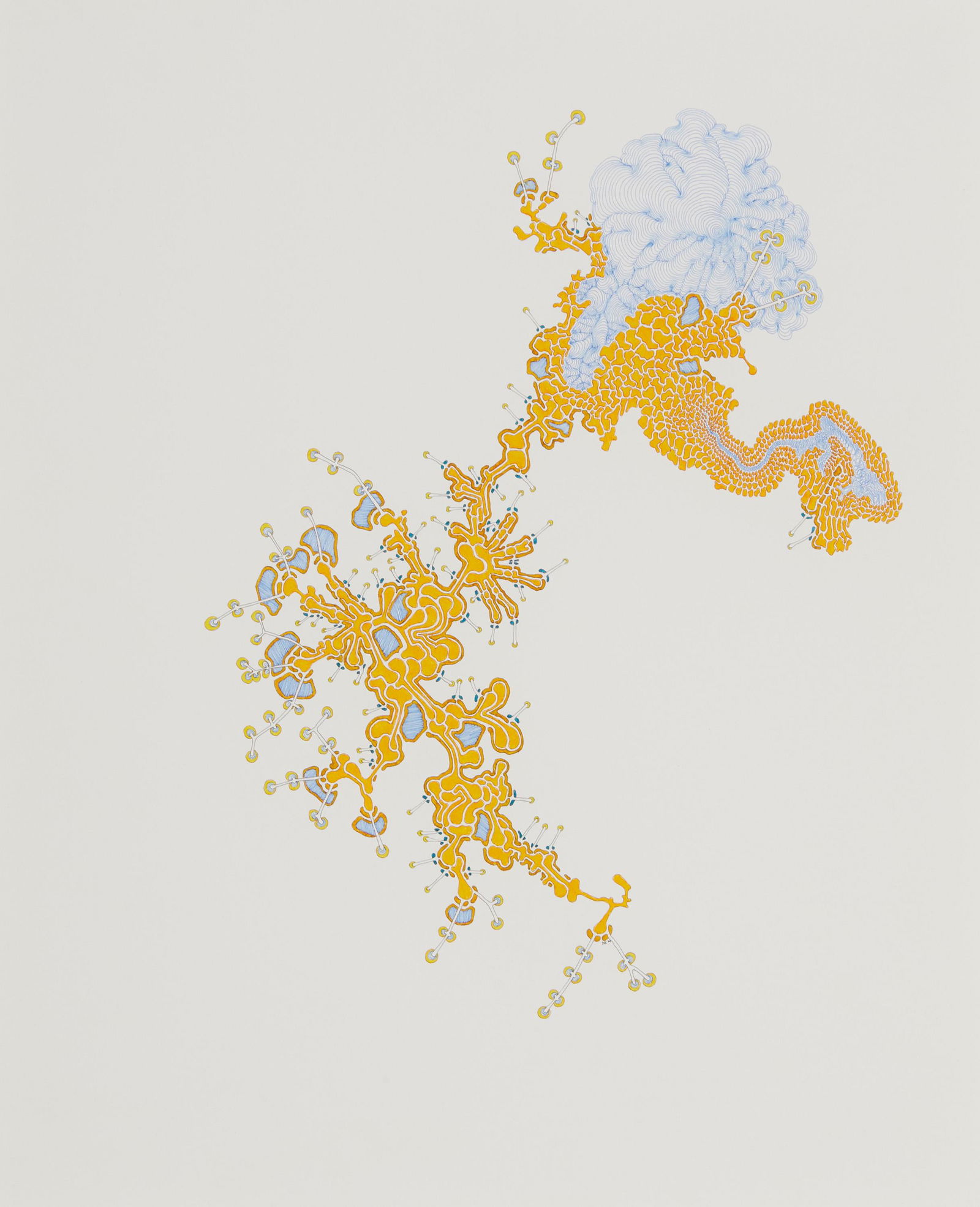 Daniel Zeller (b. 1965, American) (1 of 5)