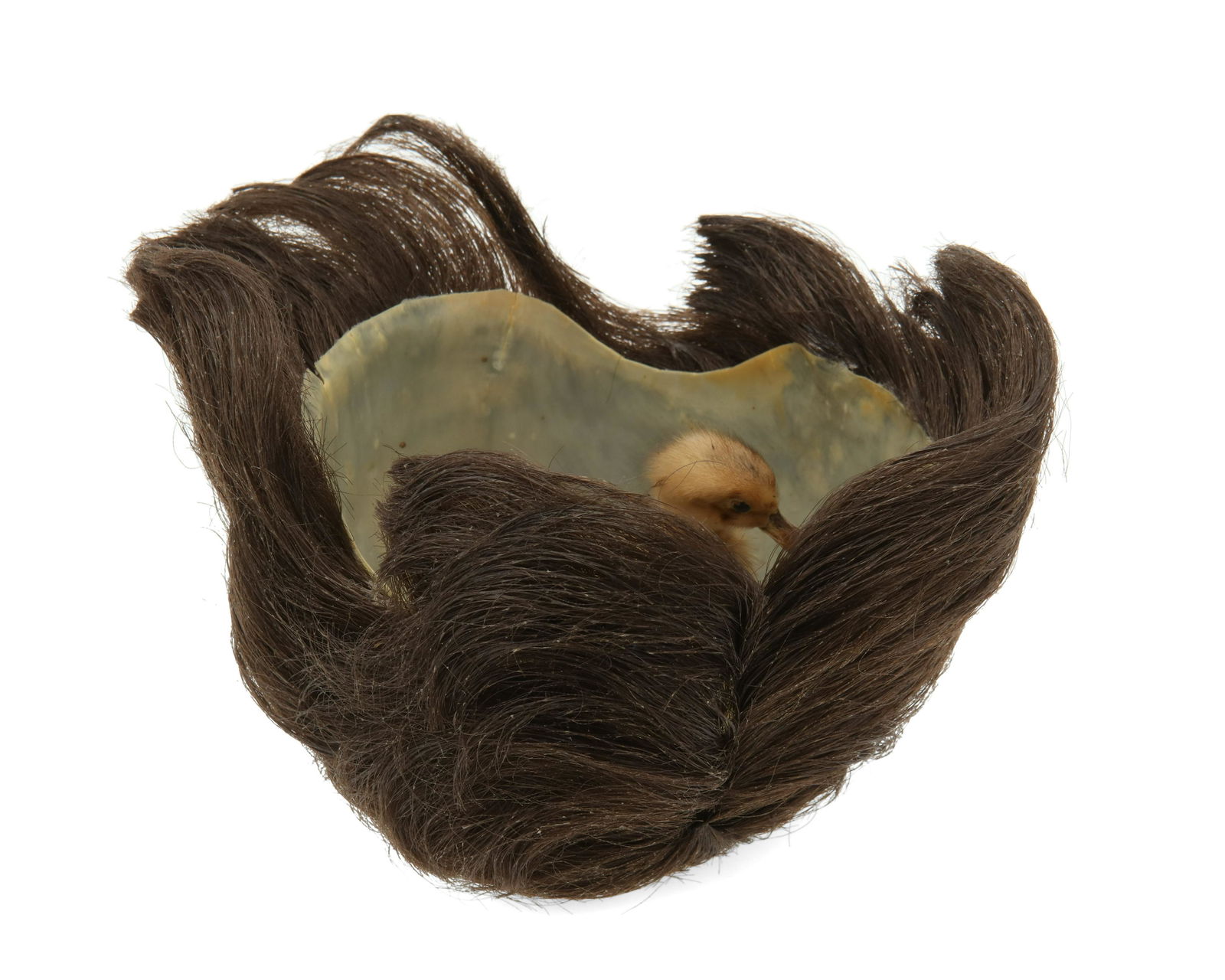 Guillaume Bijl (b. 1946, Belgian): Sorry, 1989 Mixed media assemblage Interior inscribed: X9Y [indistinct] 8" H x 8" W x 11" D Provenance: Jack Tilton Gallery, New York The Blake Byrne Collection, acquired from above