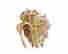 item-111278128=2