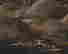 item-116018211=2