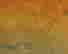 item-116745757=2