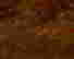 item-120210815=2
