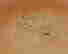 item-128355130=4