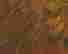 item-129369041=2