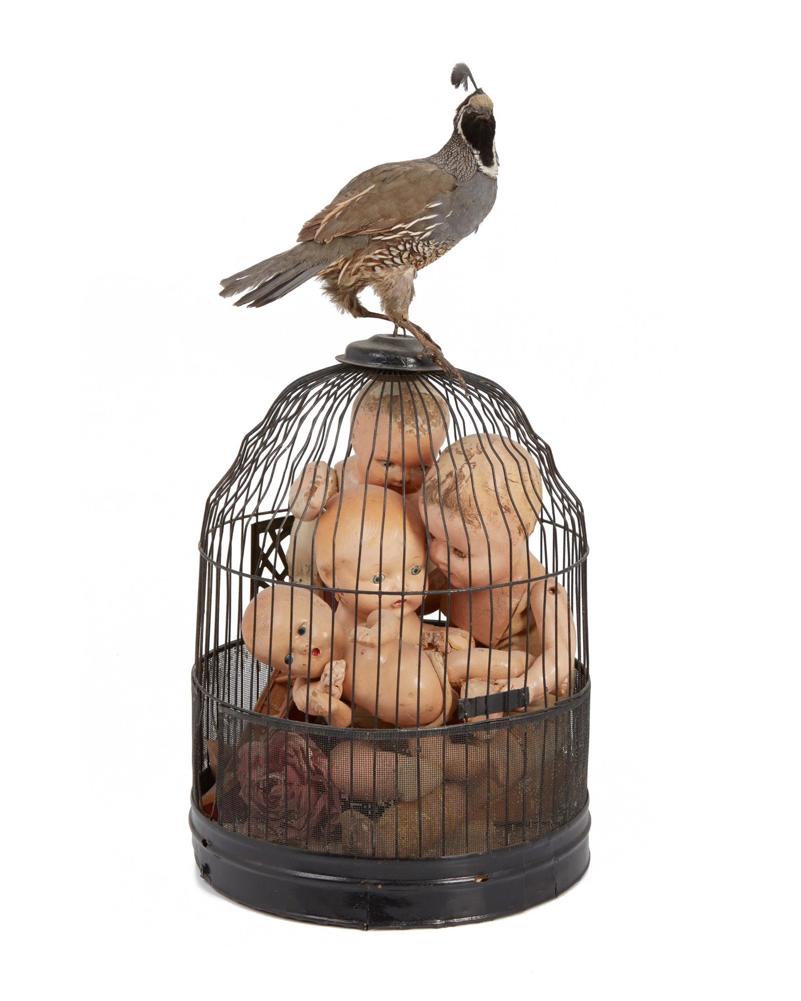 Richard Dana Smith (20th/21st Century, American): Untitled (birdcage) Appears unsigned Metal, wood, newspaper, flowers, and taxidermy bird 22" H x 10" Dia. Provenance: Gift The Blake Byrne Collection, acquired from the above