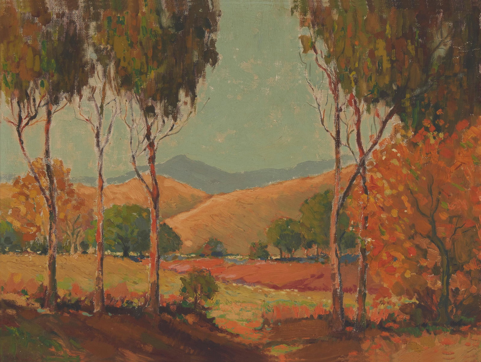 20th Century American School: Landscape with eucalyptus trees Oil on canvas board Unsigned; annotated in pencil L. Sharp together with an indistinct address, verso 17.75" H x 23.875" W