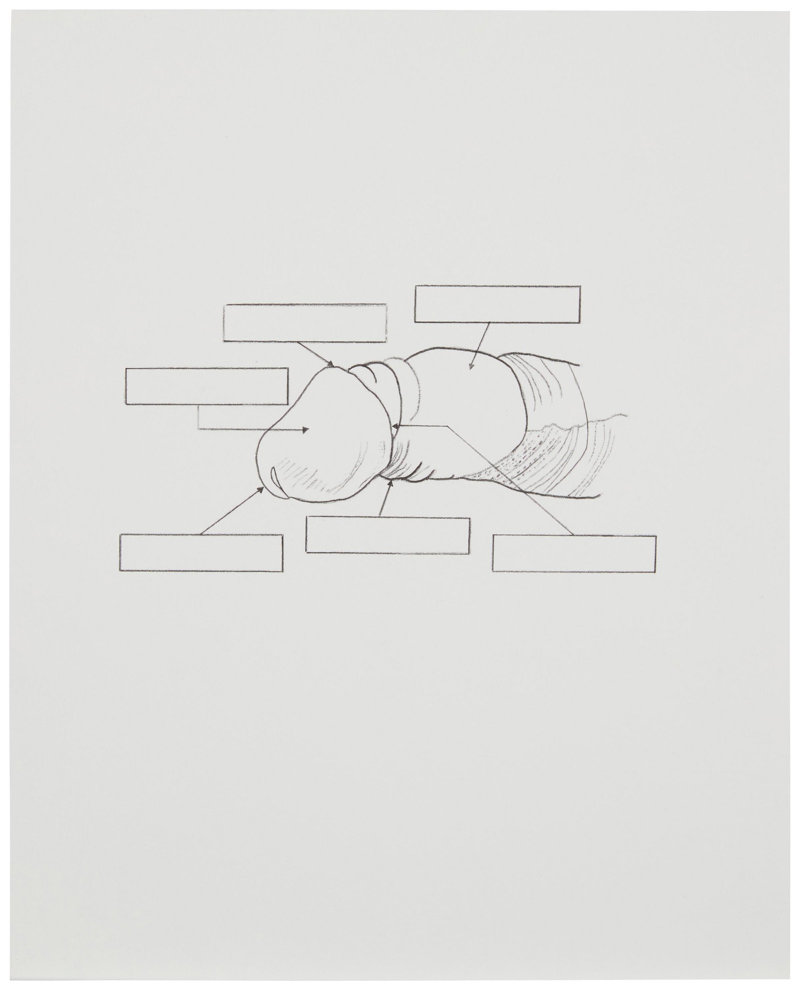 Dusadee Pang Huntrakul (b. 1978, Thai): One Down, 2013 Graphite on matboard Signed, titled and dated verso: Dusadee Pang Huntrakul 10" H x 8" W Provenance: Santa Monica Museum of Art, Santa Monica, CA, "Incognito: Art Exhibition and Sale," 