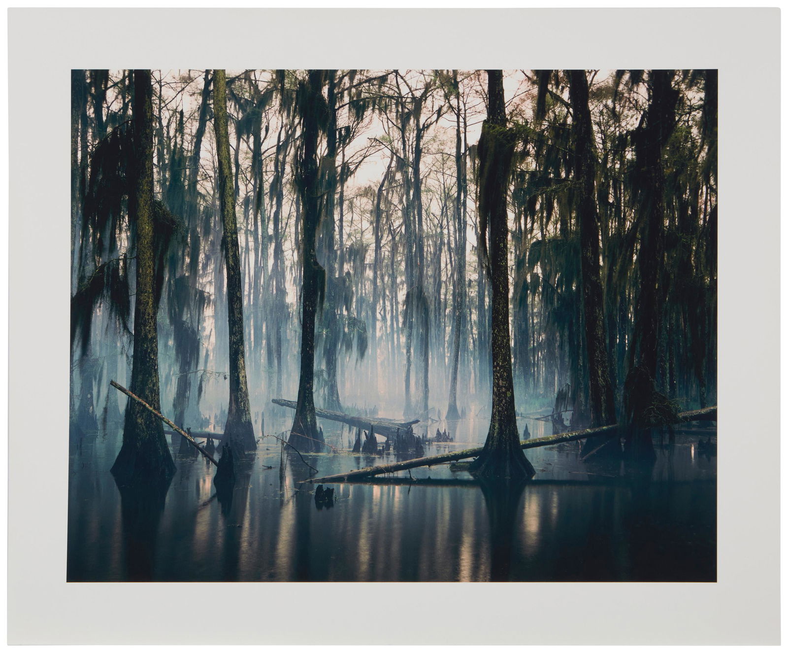 Nadav Kander (b. 1961, British): Spanish Moss, Louisiana, 1997 Archival pigment print on Hahnemuhle photorag paper Edition: 54/100, printed in 2013 Unsigned Image: 16.125" H x 20.125" W; Sheet: 20" H x 23.75" W Provenance: Priv