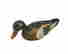 item-131797224=2