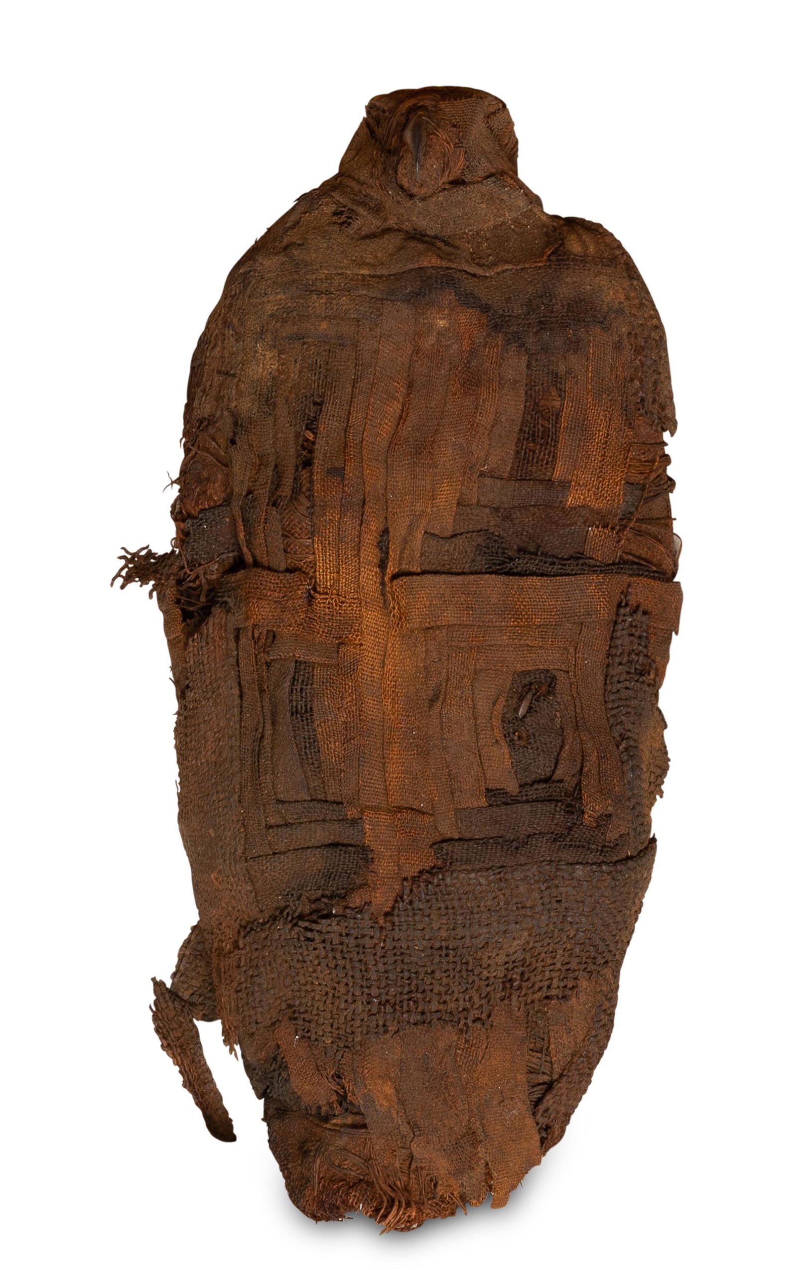 An Ancient Egyptian mummified peregrine falcon (1 of 2)