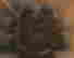 item-136487937=3