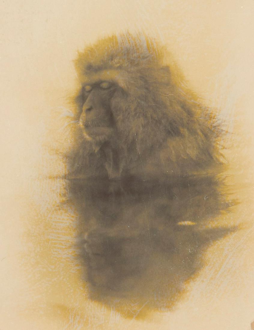 Masao Yamamoto (b. 1957) (1 of 6)