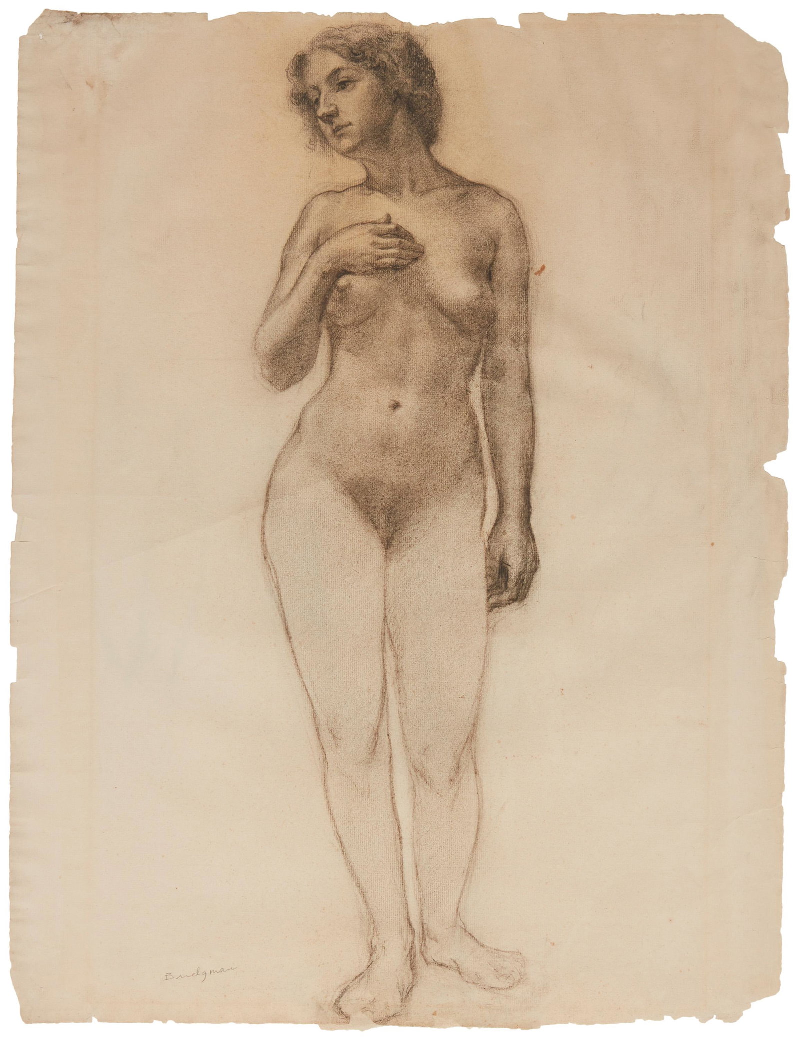 20th Century American School, Nude female study, Charcoal on paper, Image/Sheet: 24.25" H x 18.5" W: 20th Century American School Nude female study Charcoal on paper Indistinctly signed in pencil lower left Image/Sheet: 24.25" H x 18.5" W approx.
