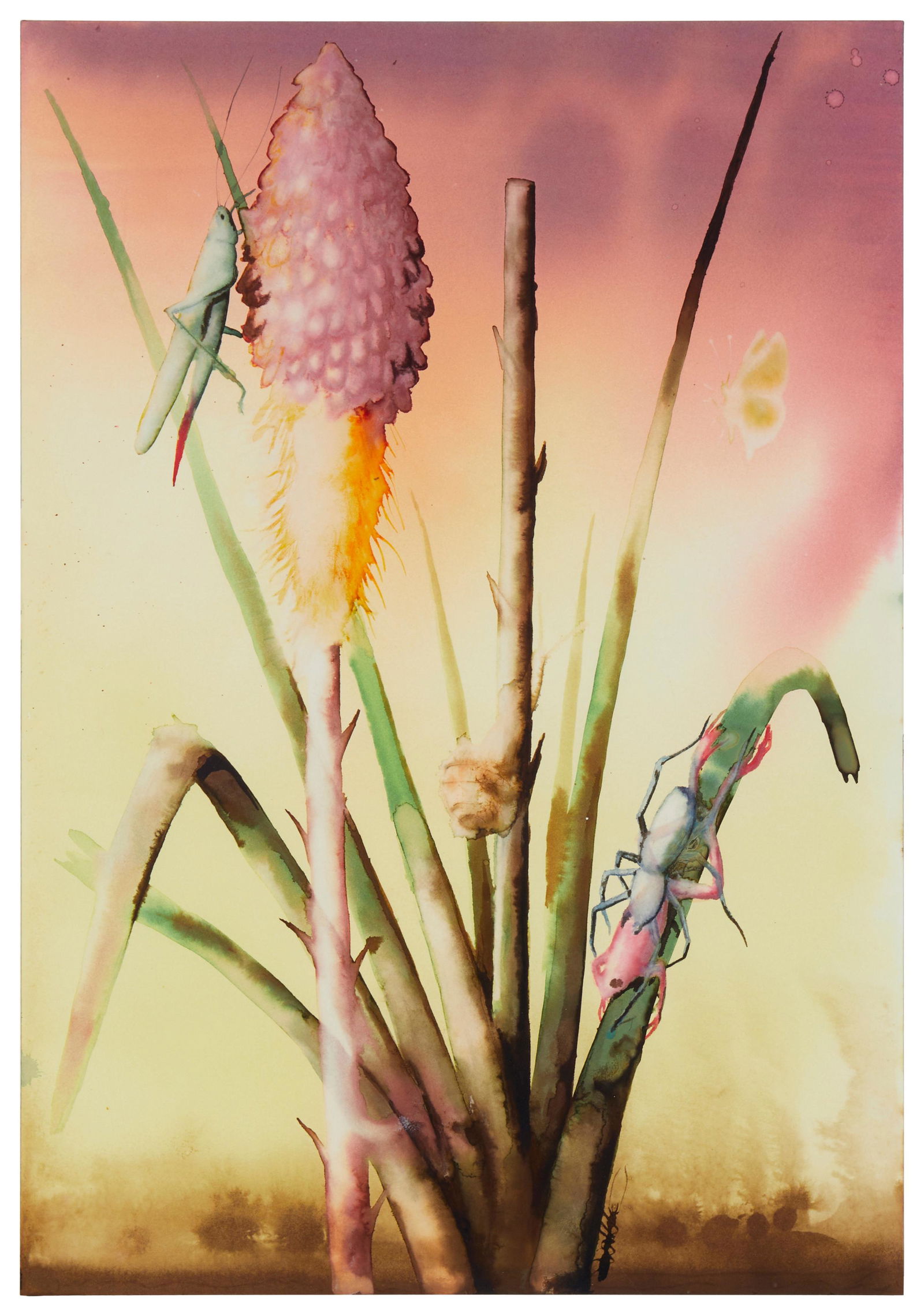 Alexis Rockman (b. 1962), "Untitled," 1991, Watercolor on paper, Image/Sheet: 20" H x 14.25" W: Alexis Rockman(b. 1962)"Untitled," 1991Watercolor on paperSigned and dated in pencil on the verso lower right: Alexis RockmanImage/Sheet: 20" H x 14.25" W Provenance: Thomas Solomo