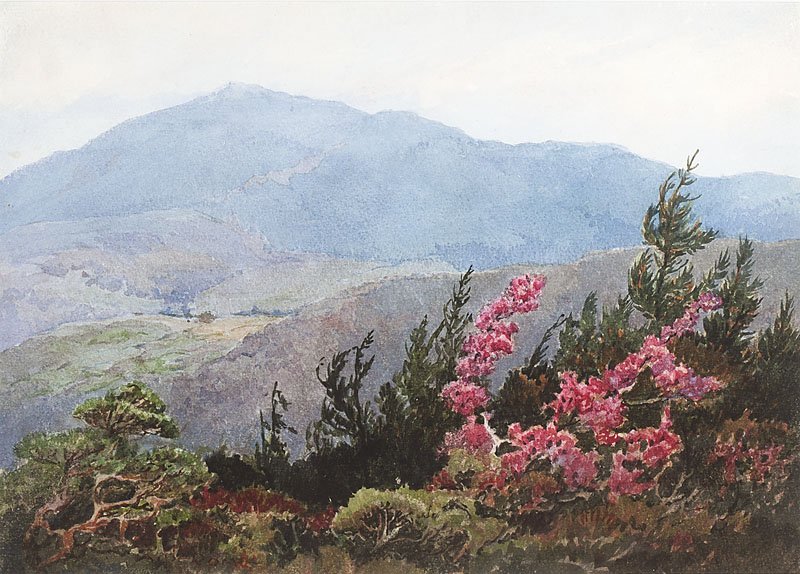 Albert Thomas De Rome (1885-1959): Mountain Landscape with Blooming Flowers, signed lower left: A. De Rome, watercolor on paper under glass, sight size: 7.5'' x 10.5'', est:$1000/1500. Provenance: Private Collection, Los Angeles, CA