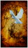 Chris DeRubeis (b. 1978), "Heaven's Dove," Mixed media on aluminum, Sight: 19.375" H x 11.375" W