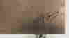 item-11806782=3
