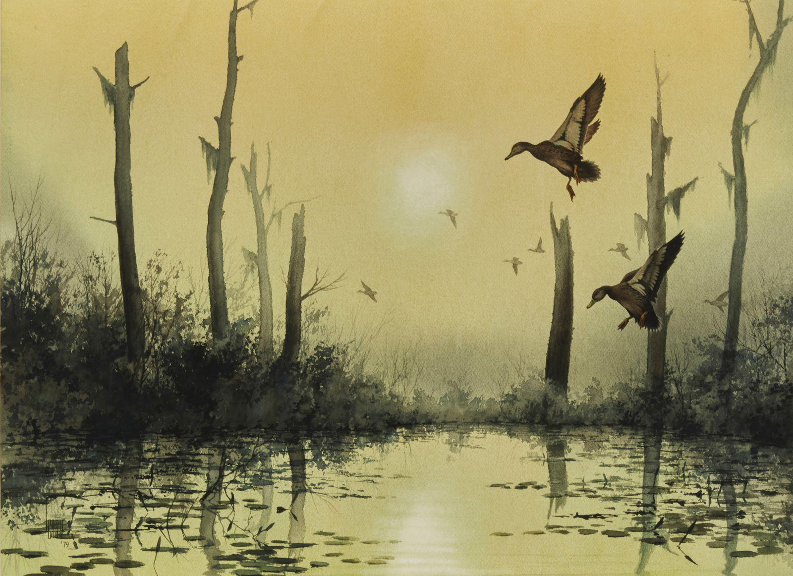 Lee Cable (b. 1943), "Florida Mallards," 1979, Watercolor on paper, Sight: 17" H x 23" W (1 of 7)