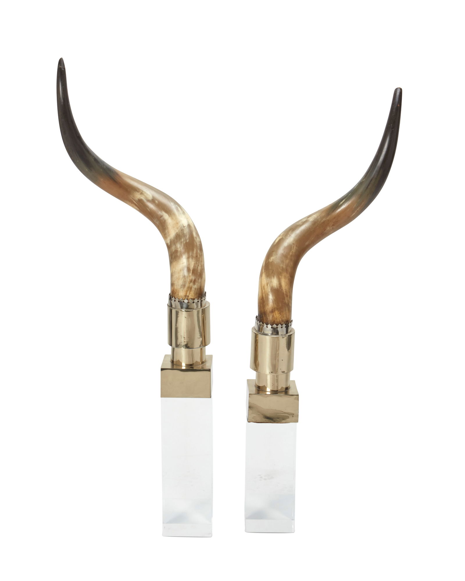 A pair of Anthony Redmile decorative mounted horns (1 of 8)