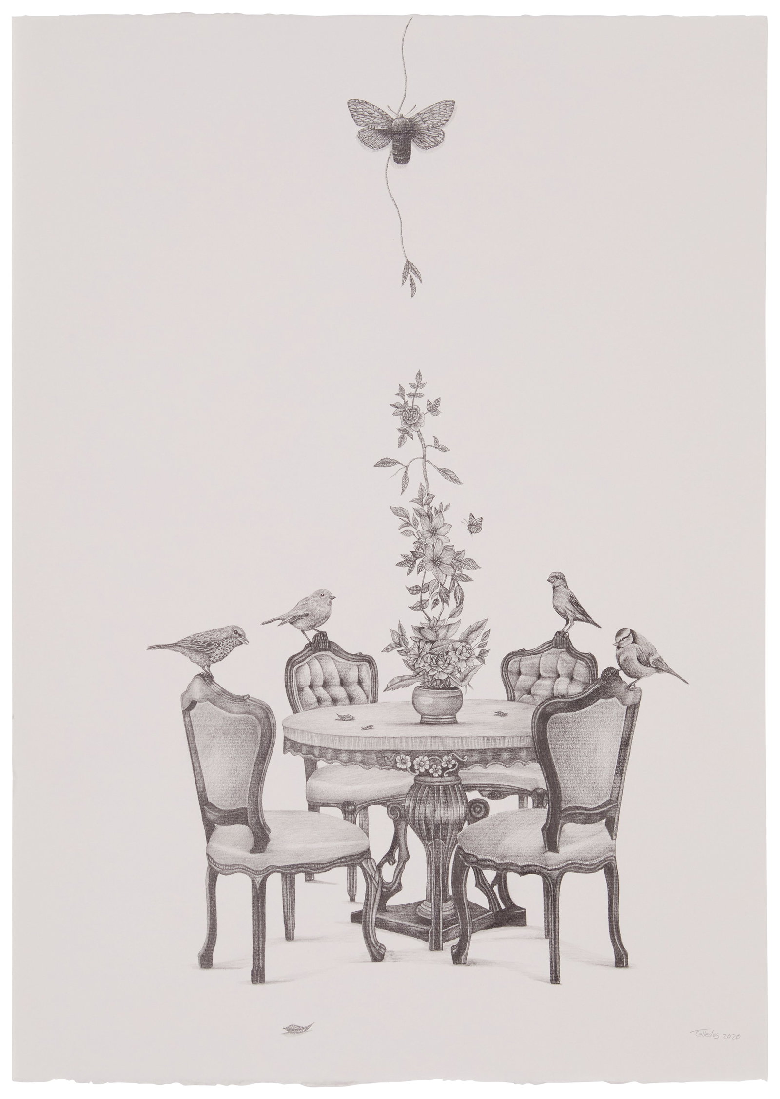 Eduardo Talledos (b. 1981), Table with birds, butterfly and moth, 2020, Pencil on wove paper,: Eduardo Talledos (b. 1981) Table with birds, butterfly and moth, 2020 Pencil on wove paper, watermark Fabriano Signed and dated at the lower right: Talledos Sheet: 28" H x 19.75" W