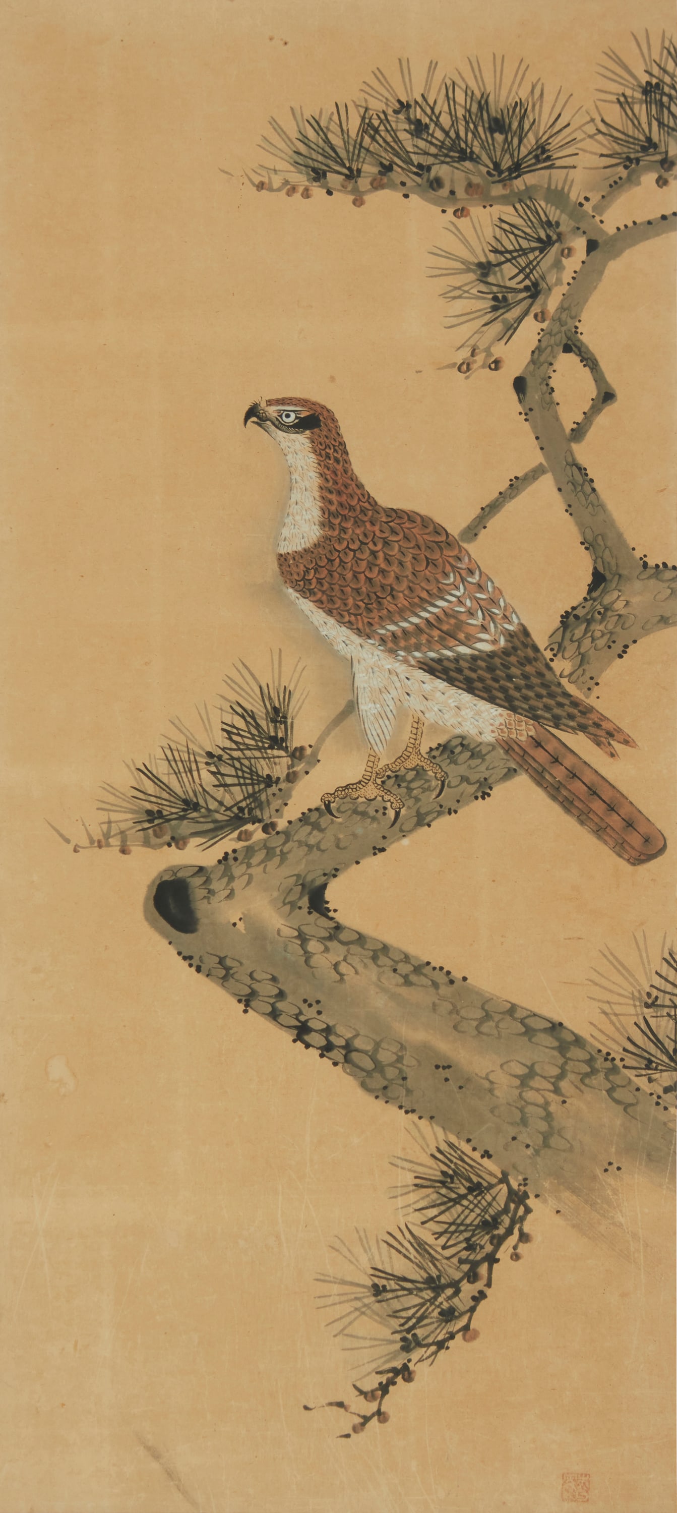 Japanese School, Meiji Period (1868-1912): Japanese School, Meiji Period (1868-1912) Falcon on a branch Watercolor and ink on paper Signed along the lower edge, at right, with red chopmark Sight: 46" H x 21" W