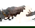 Loet Vanderveen (1921-2015), "Rhino"