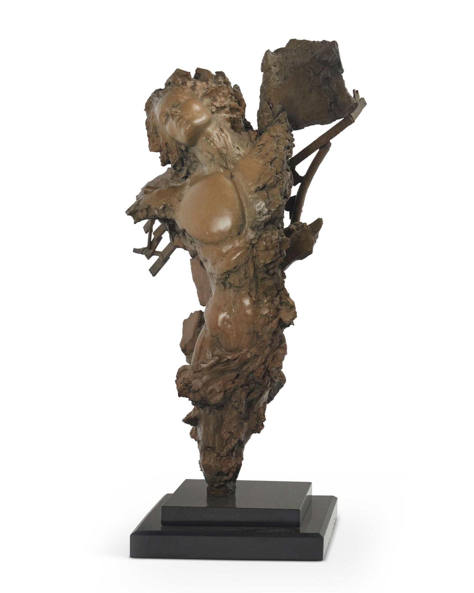 Ira Bruce Reines (b. 1957), "Icarus" (1 of 12)