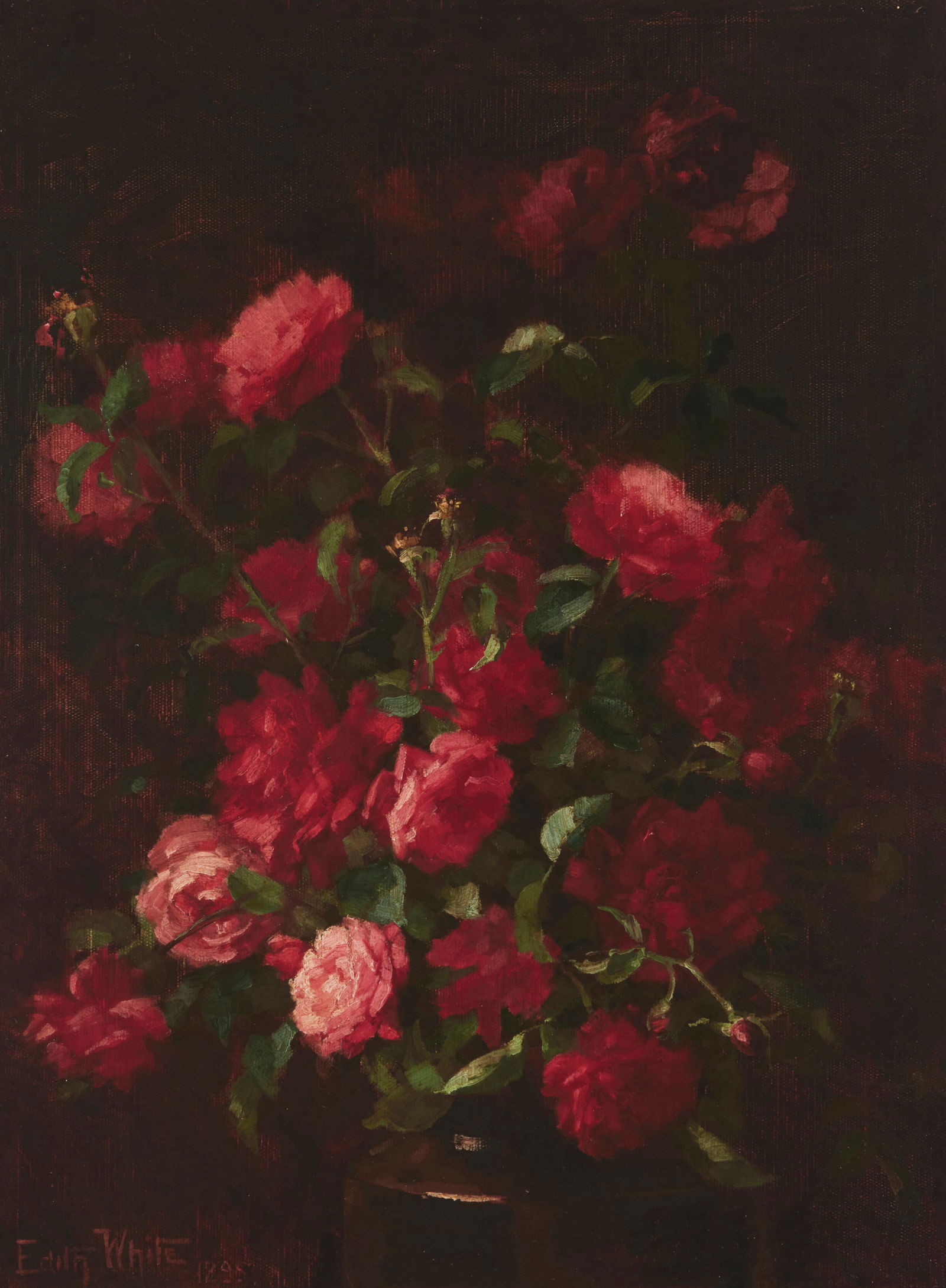 Edith White (1855-1946), Still life with red roses, 1895 (1 of 6)