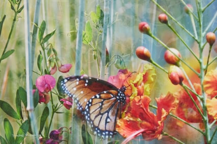 Yankel GInzburg (b. 1945), Emerald Forest""