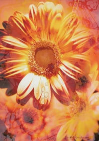 Yankel Ginzburg (b. 1945), "Appealing"