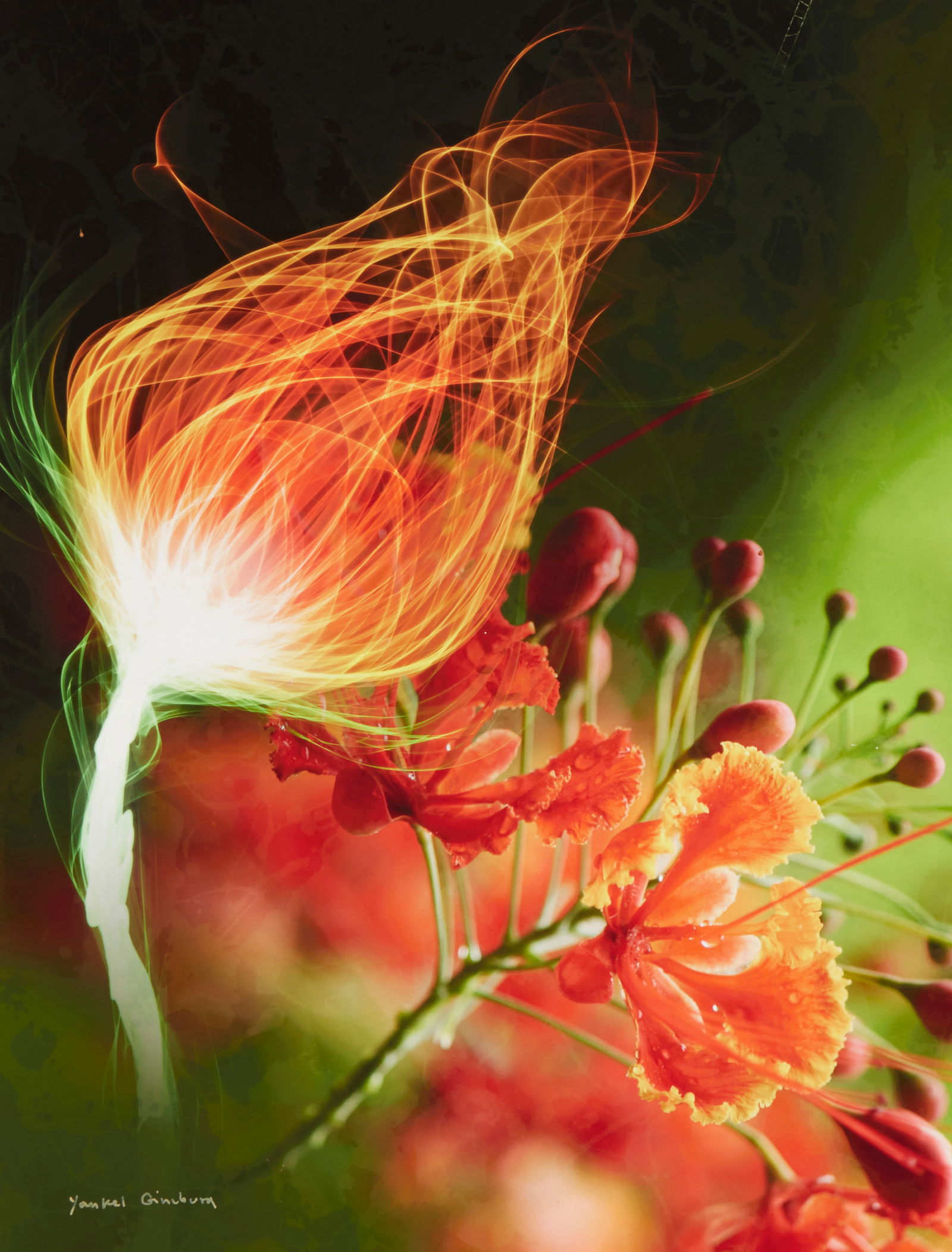 Yankel Ginzburg (b. 1945), Compassion"": Yankel Ginzburg(b. 1945)Compassion"Acrylic on MasoniteSigned lower left: Yankel Ginzburg; titled on a label affixed to the frame's backing paper26" H x 20" W Provenance: Lahaina Galleries Newport Beac