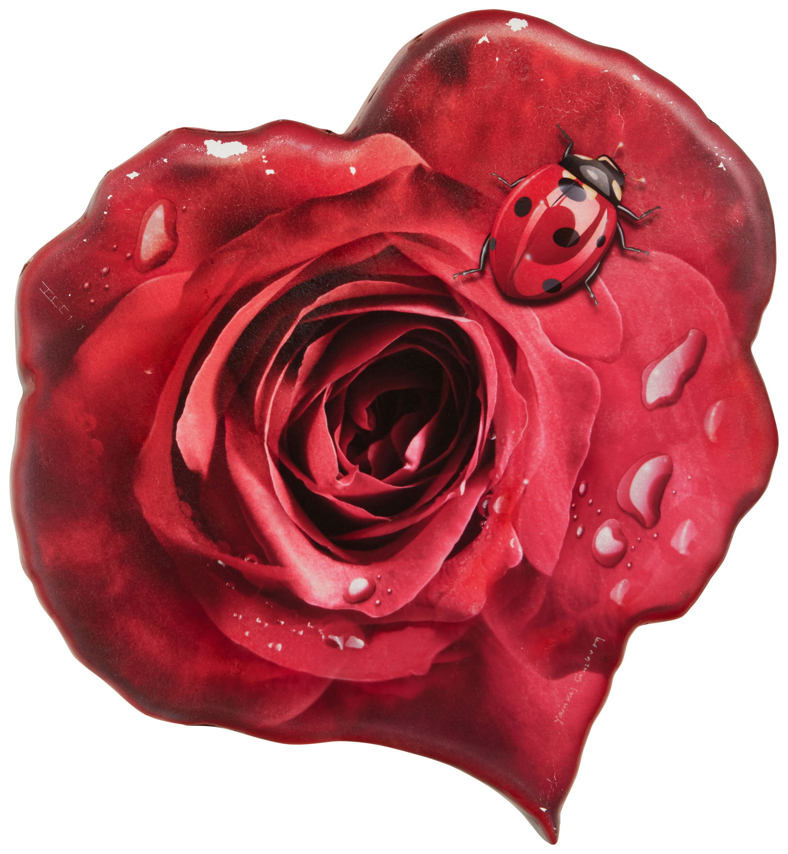 Yankel Ginzburg (b. 1945), Untitled, Lady bug on rose (1 of 5)