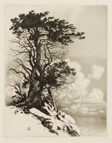 George Elbert Burr (1859-1939), "Old Cypress, Monterey, California," circa 1925