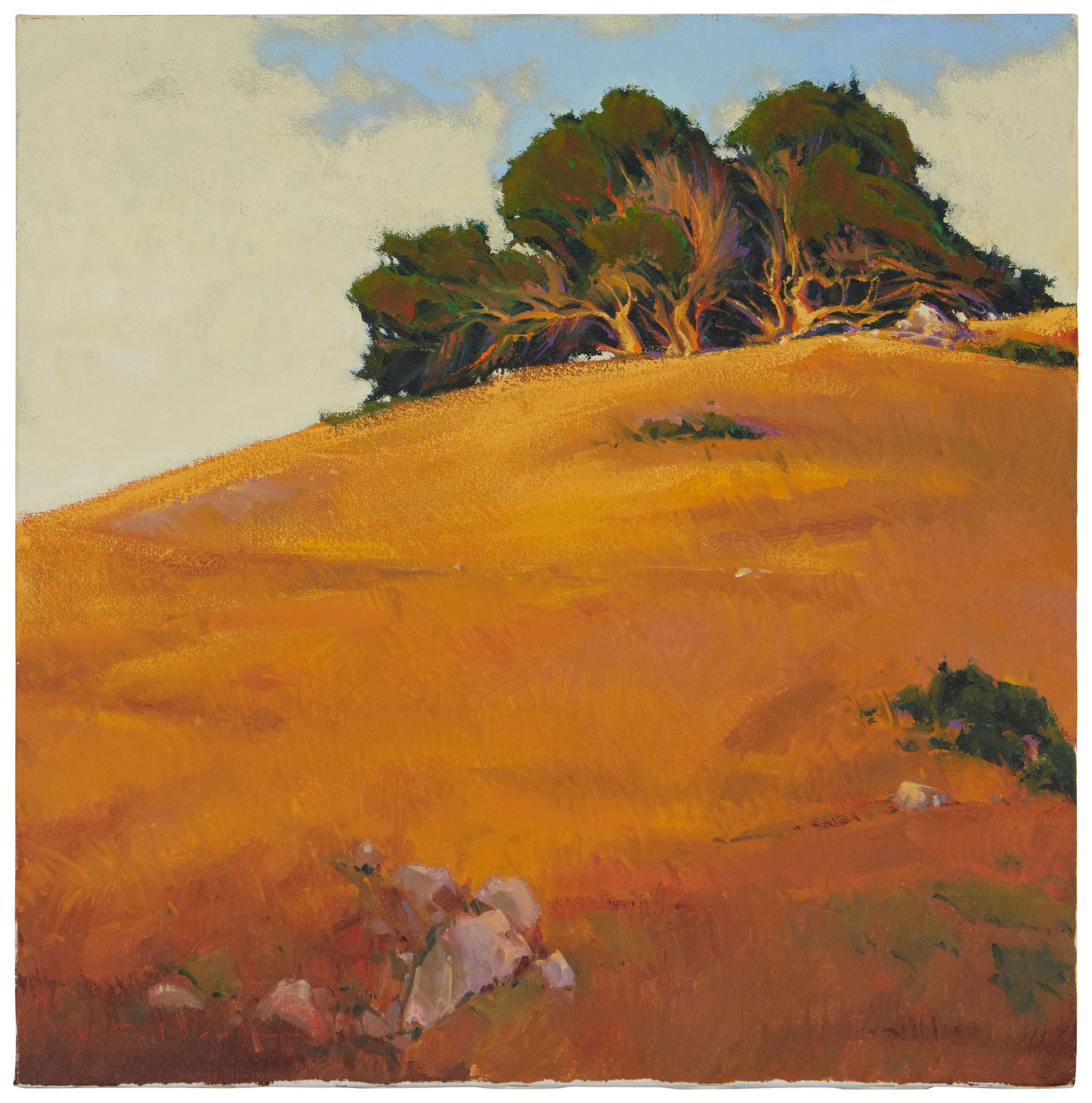 William Cather Hook (b. 1948), "Winward Hillside," 1995: William Cather Hook(b. 1948)"Winward Hillside," 1995Acrylic on canvasSigned lower left: W.C. Hook; signed again, titled, dated, and inscribed, verso: Olema Hill, CA; titled again on the arti