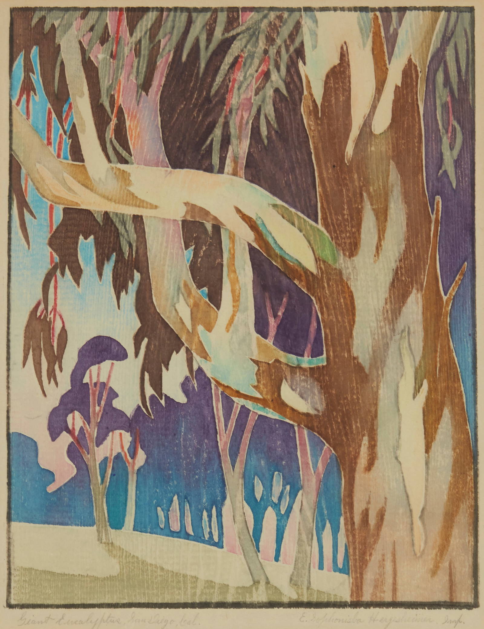 Ella Sophinisba Hergesheimer (18731943), "giant Eucalyptus, San Diego