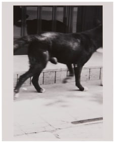 Christopher Wool (b. 1955), "Untitled," 1992