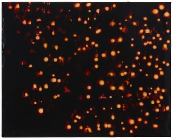 Dolly Thompsett (b. 1971), "Gathering," 2004