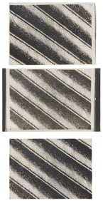 Rene Leonhardt (1878-1972), Three works, Three images of a magnified view of a feather from a