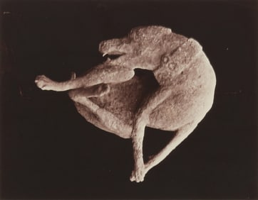 20th Century Photography School