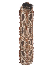 A Papuan carved wood shield