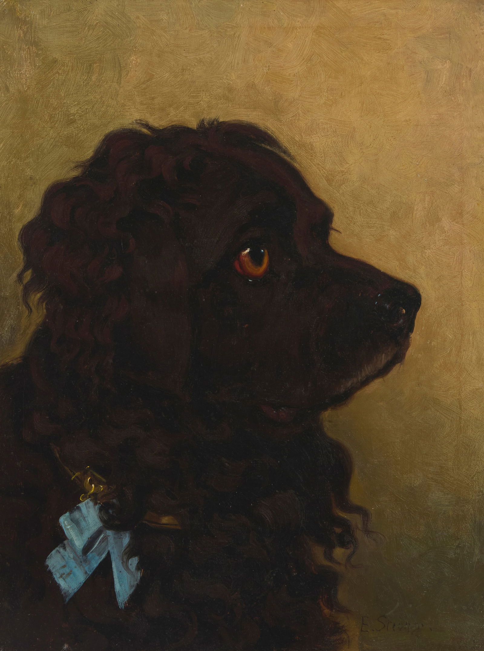 Elizabeth Strong (1855-1941), Portrait of a Spaniel (1 of 7)