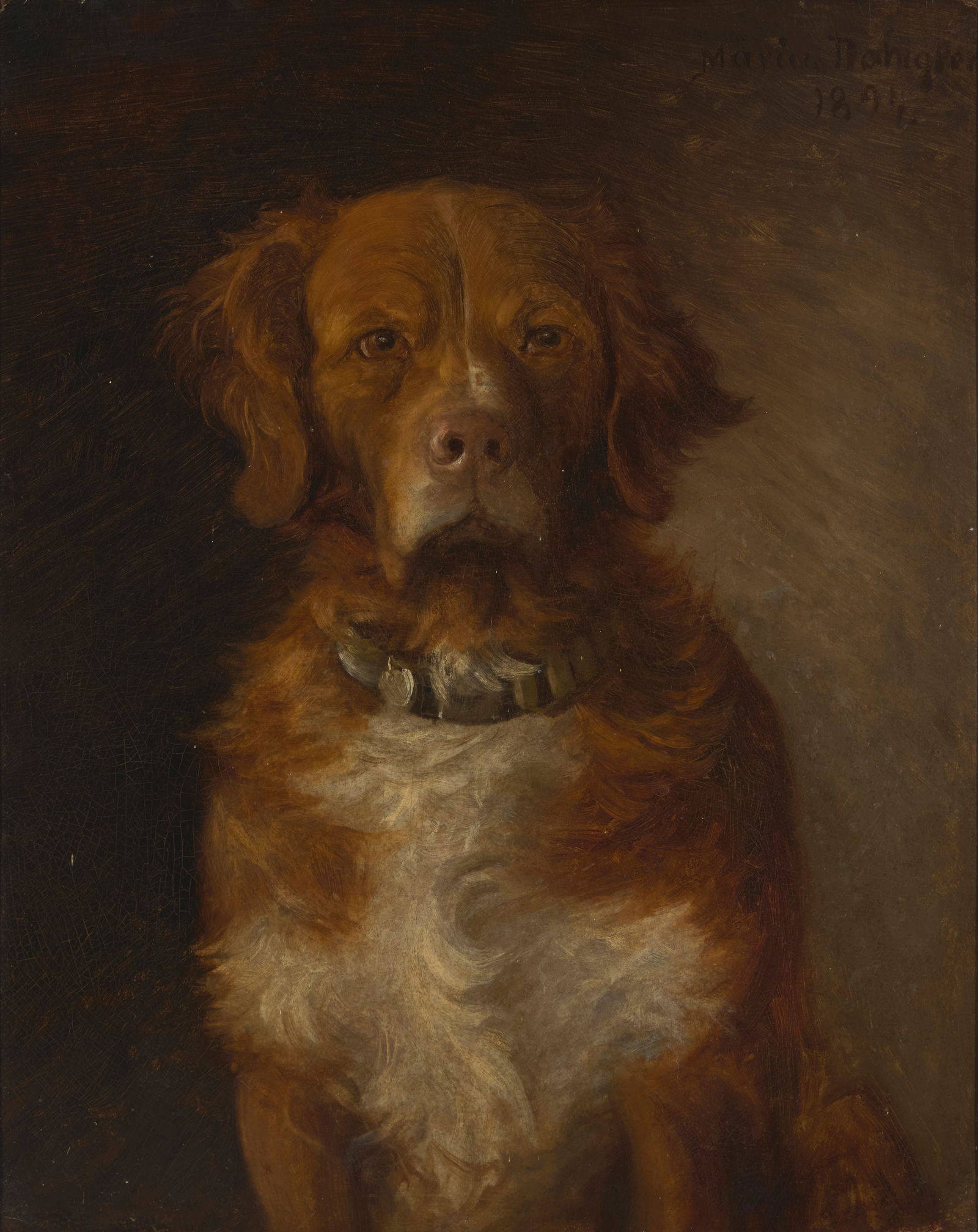 Marius Dahlgren (1844-1920), Nova Scotia Duck Tolling Retriever, 1894 (1 of 5)