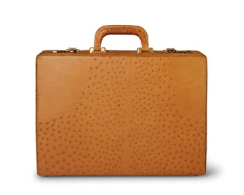 Franzen: A Vintage Ostrich Leather Briefcase