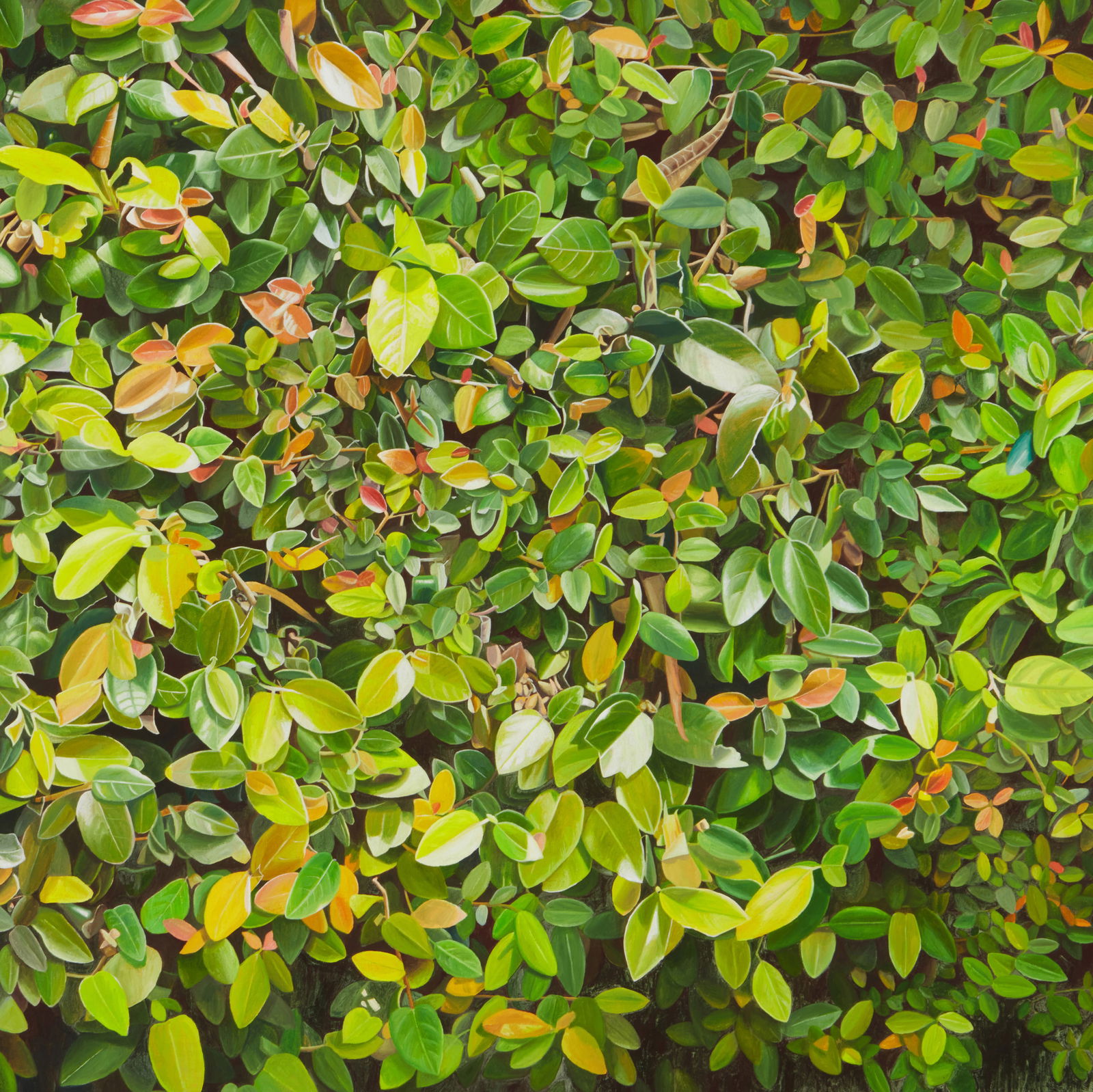 Astrid Preston (b. 1945), "Leaves," 2005 (1 of 7)