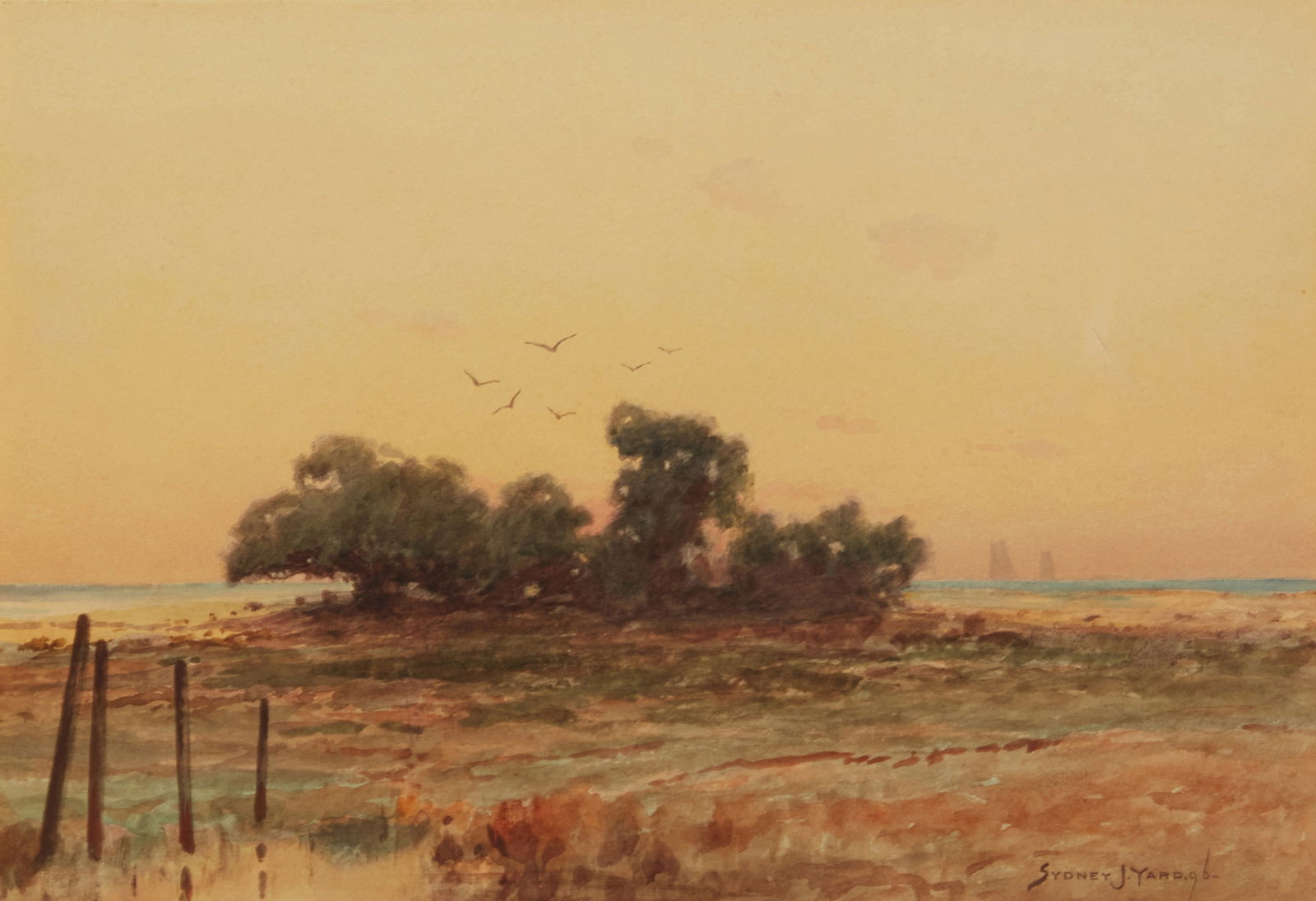 Sydney Janis Yard (1855-1909), Marsh landscape, 1896 (1 of 5)