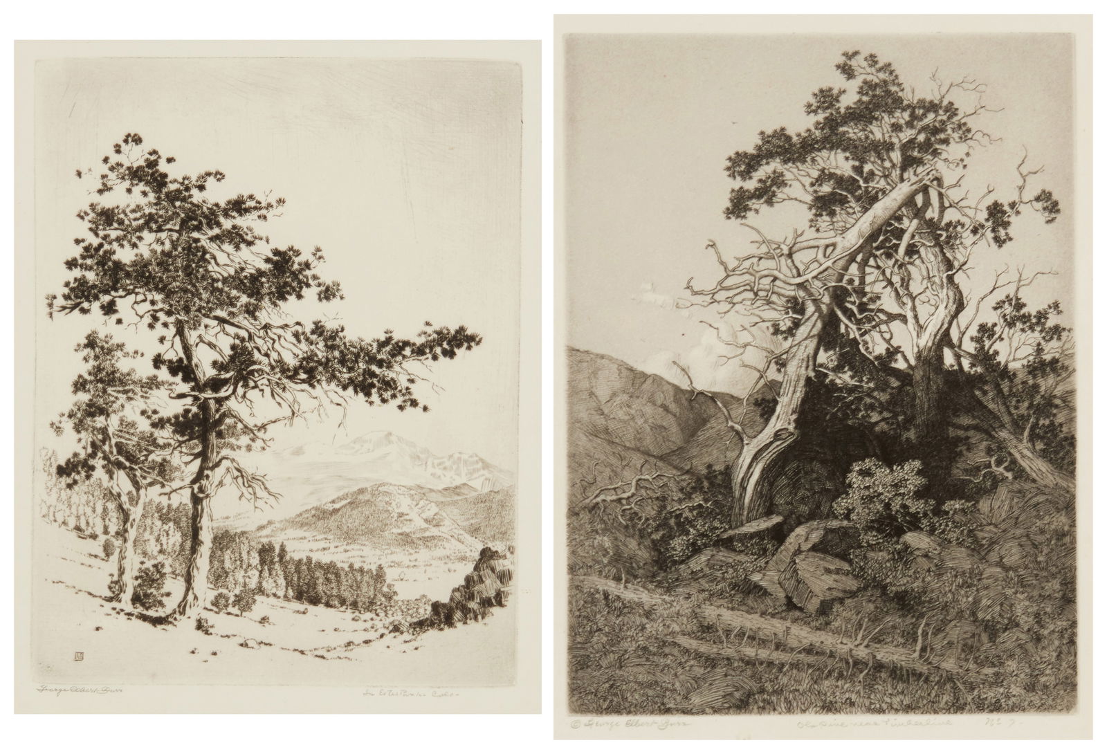 George Elbert Burr (1859-1939): George Elbert Burr (1859-1939)Two works:"In Estes Park, Colo.," 1929Etching on wove paperFrom the edition of unknown sizeSigned and titled in pencil in the lower margin: George Elbert BurrPl