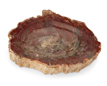 A petrified wood bowl