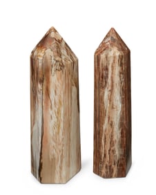 Two petrified wood obelisk specimens